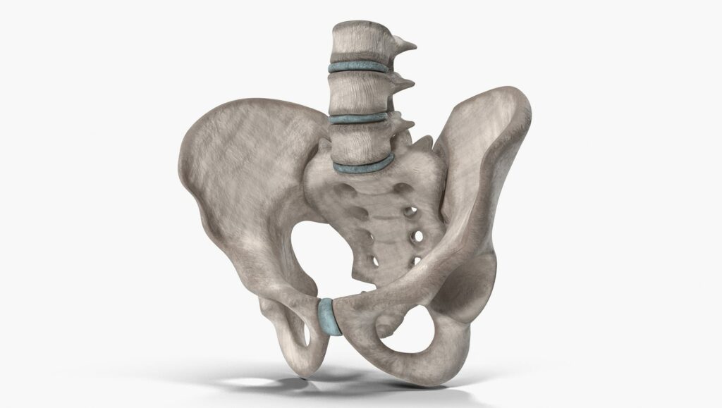 pelvis orthohealing bone marrow concentrate